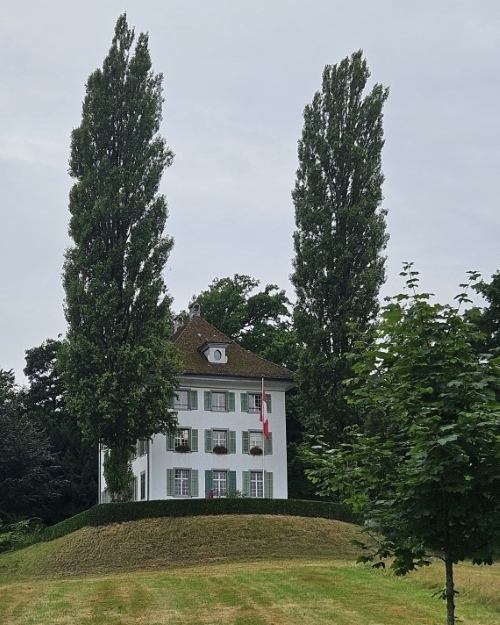 Ladas Klassikwelt 115: Richard Wagner Museum Luzern  klassik-begeistert.live, 22. Juli 2025
