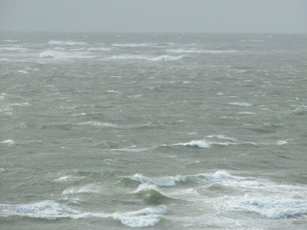 image004
