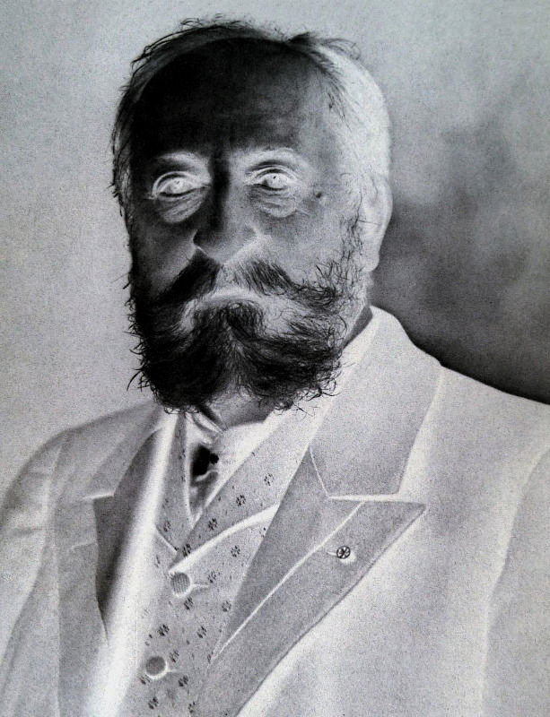 Daniels Anti-Klassiker 6: Camille Saint-Saëns, „Karneval der Tiere“ (1886)